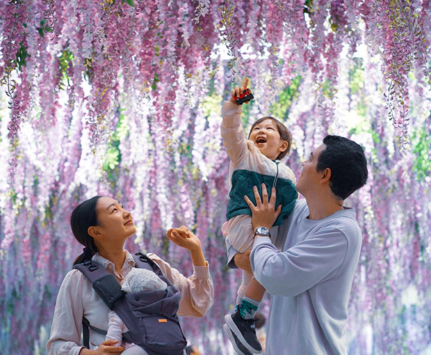 Du lịch Hàn Quốc mùa Thu - Gapyeong Begonia Bird Park - Seoul - Tháp namsan từ Sài Gòn 2025