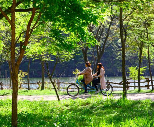 Du lịch Hè - Tour Hàn Quốc - Seoul - Everland - Đảo Nami 4 ngày từ Sài Gòn 2025