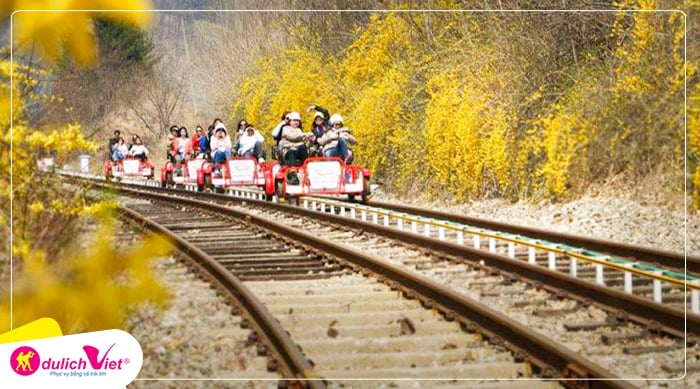 trai-nghiem-dap-xe-tren-duong-ray-du-lich-viet