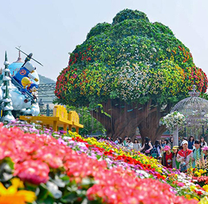 Du lịch Hàn Quốc Hè 2025 - Seoul - Jeju - Nami - Everland từ Sài Gòn