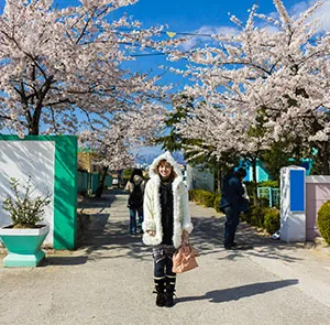 TOUR HÀN QUỐC MÙA XUÂN 5N4Đ | SEOUL - ĐẢO NAMI - EVERLAND (Bay VNA)