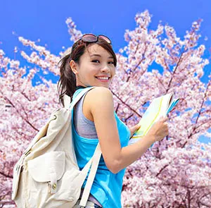 TOUR HÀN QUỐC MÙA HOA ANH ĐÀO 5N5Đ | SEOUL - BUSAN - ĐẢO NAMI - LÀNG CỔ BUKCHON
