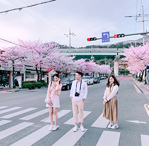 Du lịch Hàn Quốc mùa Hoa Anh Đào - Busan - Seoul - Đảo Nami từ Sài Gòn 2025