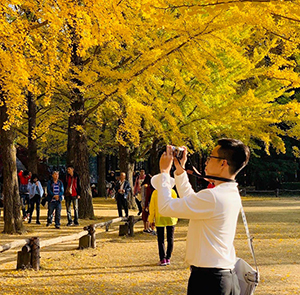 Du lịch mùa Thu 2025 - Tour Du lịch Hàn Quốc - Seoul - Everland - Đảo Nami - Tháp Namsan từ Sài Gòn