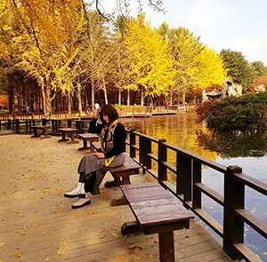 TOUR HÀN QUỐC MÙA THU | SEOUL - EVERLAND PARK - ĐẢO NAMI - THÁP NAMSAN