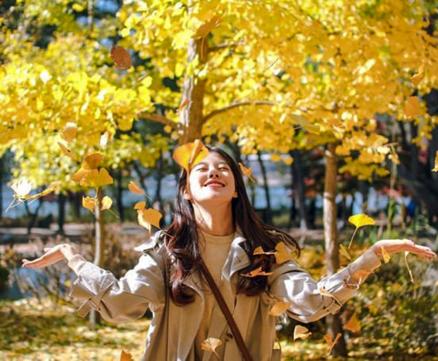 Du lịch Hàn Quốc mùa Thu - Seoul - Lotte Word - Đảo Nami từ Sài Gòn 2025