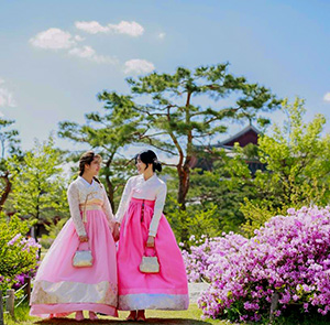 Du lịch Hàn Quốc mùa Hoa Anh Đào - Seoul - Everland - Đảo Nami - Tháp Namsan từ Sài Gòn