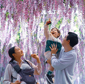 Du lịch Hàn Quốc mùa Thu - Gapyeong Begonia Bird Park - Seoul - Tháp namsan từ Sài Gòn 2025