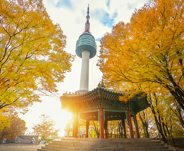 Du lịch Hàn Quốc mùa Thu - Seoul - Lotte World - Đảo Nami từ Sài Gòn 2025