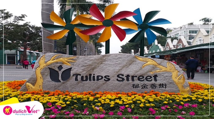 thi-tran-hoa-tulip-du-lich-viet