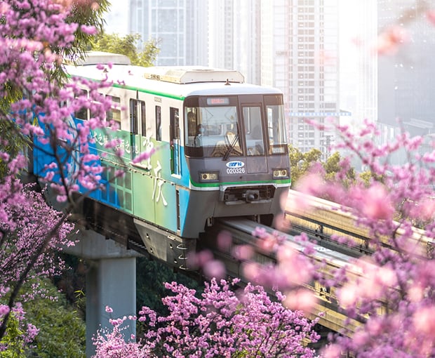 Du lịch Hồng Kông mùa Xuân - Thiền Viện Chí Liên - Quảng Châu - Thẩm Quyến từ Sài Gòn 2025