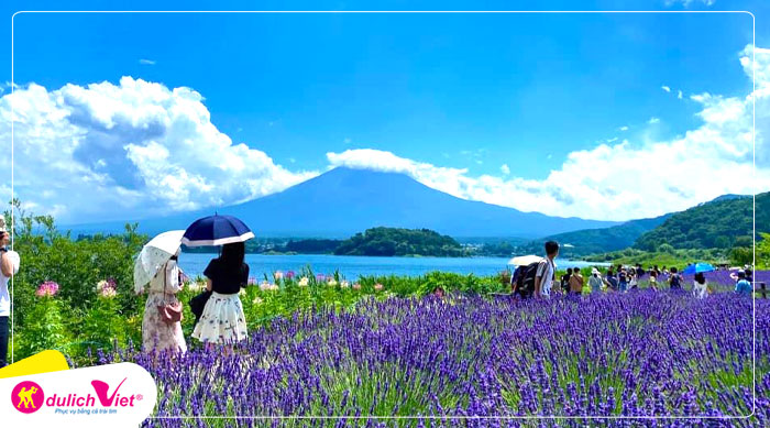 Lễ hội Fujikawaguchiko Herb Festival