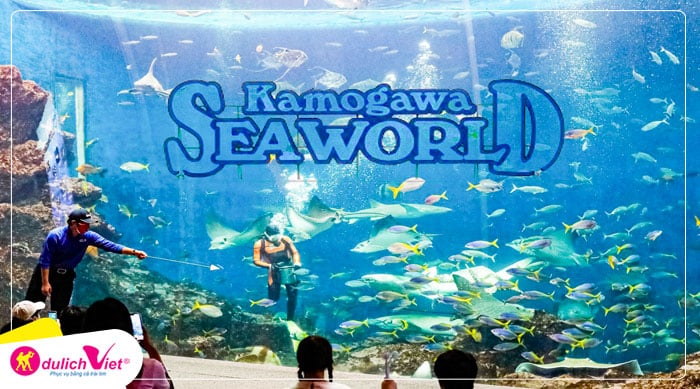 Kamogawa sea world - là nơi sinh sống của hơn 11.000 động vật 