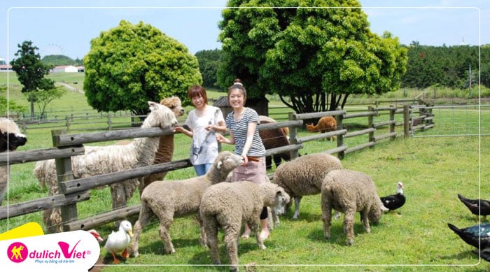 Mother Farm – Được biết đến như một điểm du lịch nổi tiếng