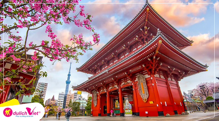Chùa Asakusa Kannon mùa Xuân