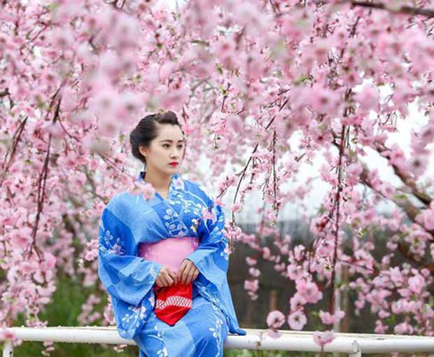 Du lịch Nhật Bản mùa hoa Anh Đào Nagaya - Osaka - Fuji - Tokyo từ Hà Nội giá tốt