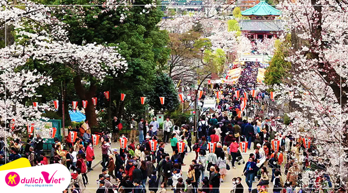 chua-Asakusa-Kannon-du-lich-viet(3)