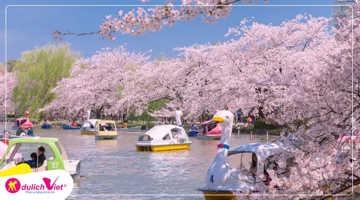 Du lịch Nhật Bản mùa Hoa Anh Đào - Tokyo - Hakone - Núi Phú Sĩ từ Sài Gòn 2025