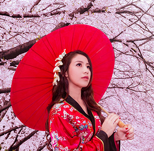 Du lịch Nhật Bản mùa Hoa Anh Đào Shizuoka - Tokyo - Núi Phú Sĩ - Yamanashi từ Hà Nội