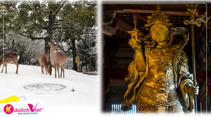 TOUR NHẬT BẢN TẾT NGUYÊN ĐÁN 5N5Đ | OSAKA - KYOTO - YAMANASHI - FUJI - TOKYO (No Shopping)