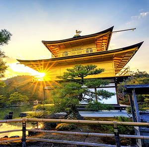 Du lịch Hè - Tour Du lịch Nhật Bản Tokyo - Fuji - Nagoya - Osaka từ Sài Gòn 2025