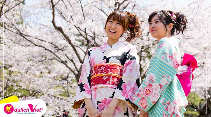 Du lịch Nhật Bản mùa Hoa Anh Đào Shizuoka - Tokyo - Núi Phú Sĩ - Yamanashi từ Hà Nội