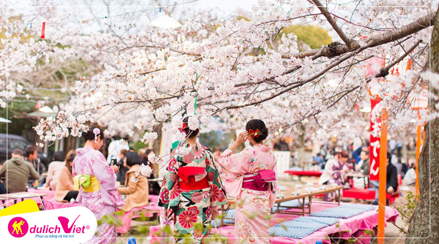 Du lịch Nhật Bản mùa Hoa Anh Đào - Tokyo - Làng Cổ Shirakawa - Gifu - Osaka từ Sài Gòn 2025