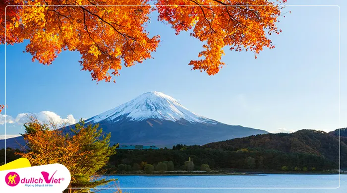 Du lịch Nhật Bản mùa Thu - Osaka - kyoto - Yamanashi - Fuji - Tokyo từ Sài Gòn 2025