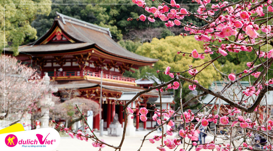 Du lịch Nhật Bản mùa Xuân Fukuoka - Kitakyushu - Kumamoto - Fukuoka từ Sài Gòn