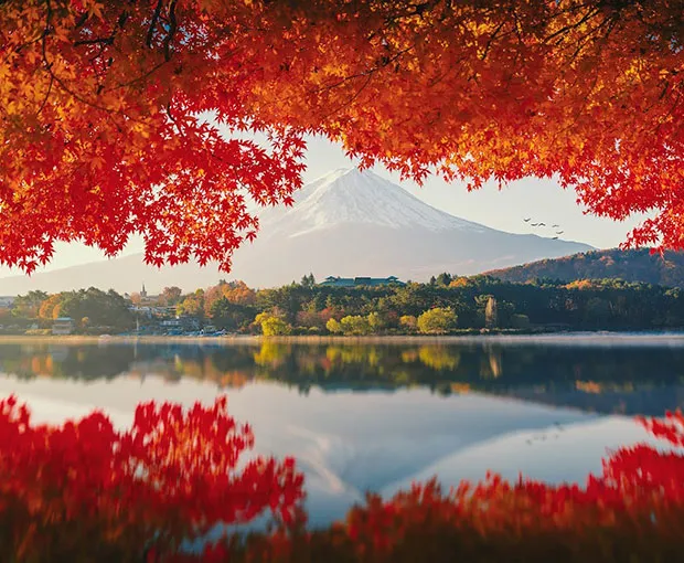 TOUR NHẬT BẢN MÙA THU 5N5Đ | OSAKA - KYOTO - YAMANASHI - FUJI - TOKYO