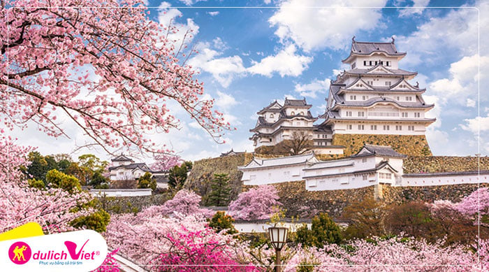 Du lịch Nhật Bản mùa Xuân - Tokyo - Hakone - Fuji - Odaiba từ Sài Gòn 2025
