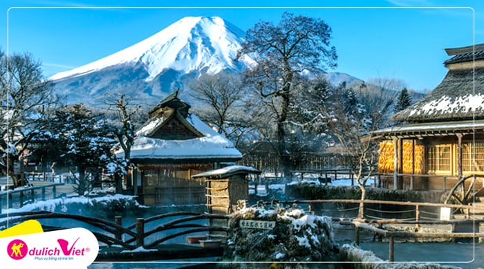 Du lịch Nhật Bản mùa Đông - Tokyo - Hakone - Fuji - Odaiba từ Sài Gòn 2025