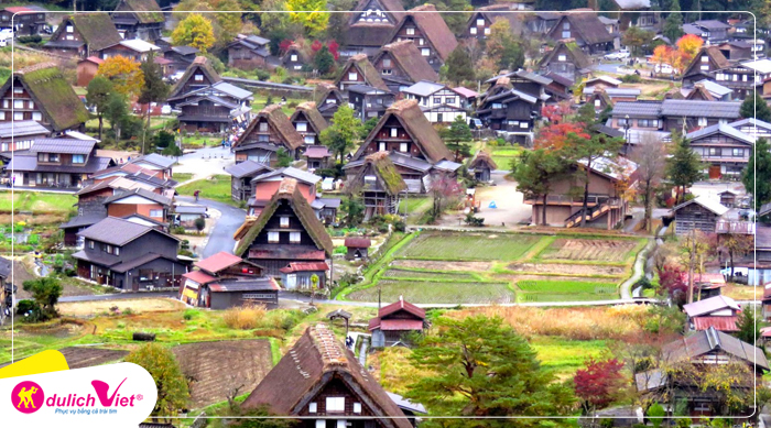 Làng cổ Shirakawa mua Hoa anh Dao