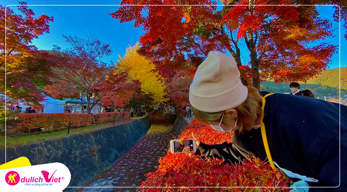 Lễ Hội lá phong: Kawaguchi Momiji là điểm ngắm lá Vàng - Đỏ