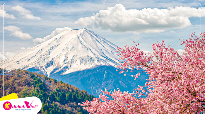 Du lịch Nhật Bản mùa Hoa Anh Đào - Osaka - Nara - Kyoto - Yamanashi - Núi Phú Sĩ - Tokyo từ Sài Gòn 2025