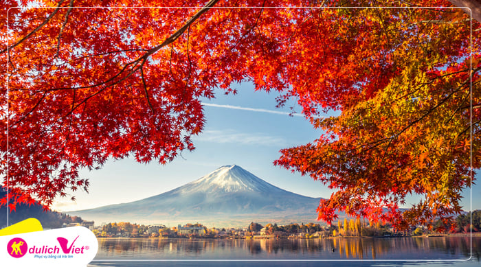 Du lịch Nhật Bản mùa Thu - Tokyo - Fuji - Nagoya - Osaka từ Sài Gòn