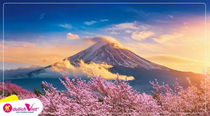 TOUR NHẬT BẢN MÙA HOA ANH ĐÀO 5N5Đ | TOKYO - FUJI - NAGOYA - KYOTO - OSAKA