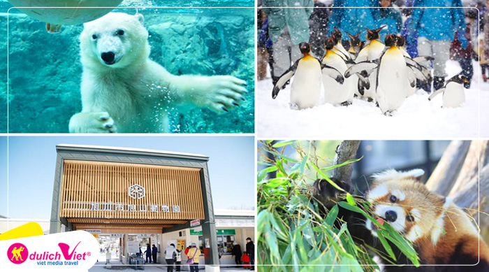 Du lịch Nhật Bản Hè - Asahikawa - Sounkaku - Tomita - Sapporo - Otaru từ Sài Gòn 2025