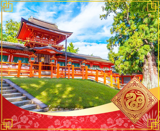 Du lịch Nhật Bản Tết Âm lịch - Osaka - Nara - Kyoto - Yamanashi - Núi Phú Sĩ - Tokyo từ Sài Gòn 2025