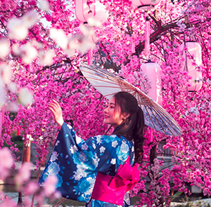 Du lịch Nhật Bản mùa Hoa Anh Đào Tokyo - Hakone - Fuji từ Sài Gòn