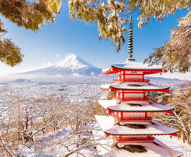TOUR NHẬT BẢN MÙA ĐÔNG 5N5Đ | OSAKA - KYOTO - YAMANASHI - FUJI - TOKYO