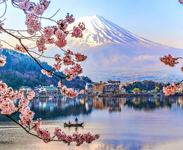 TOUR NHẬT BẢN MÙA HOA ANH ĐÀO 4N4Đ | NÚI PHÚ SỸ - TOKYO - CHIBA