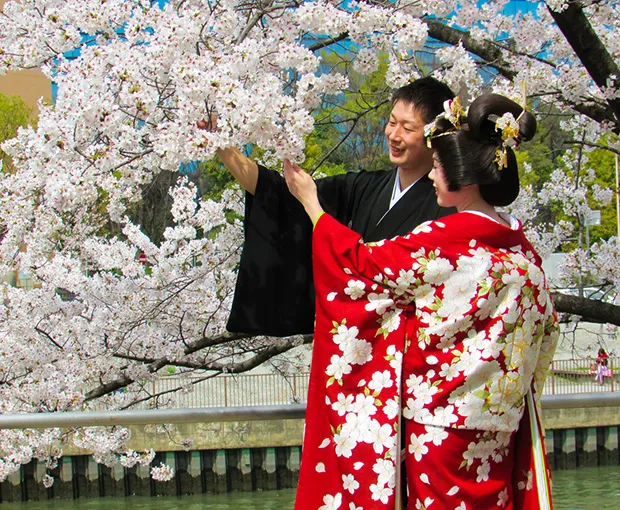 TOUR NHẬT BẢN MÙA HOA ANH ĐÀO 5N5Đ | OSAKA - KYOTO - YAMANASHI - FUJI - TOKYO (Tour No Shopping)