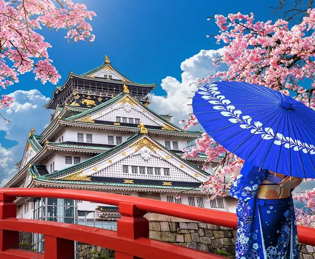 TOUR NHẬT BẢN MÙA HOA ANH ĐÀO 5N5Đ | OSAKA - KYOTO - FUJI - TOKYO
