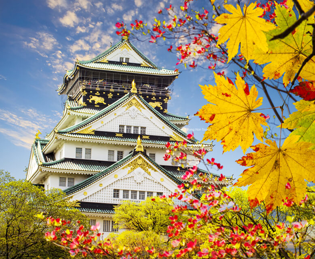 TOUR NHẬT BẢN MÙA THU 5N5Đ | OSAKA - KOBE - KYOTO - YAMANASHI BAY VIETNAM AIRLINES