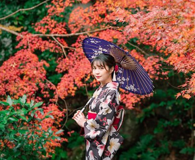 Du lịch Nhật Bản mùa Thu - Tokyo - Hakone - Fuji từ Sài Gòn giá tốt 2025