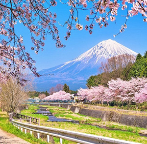 Tour Nhật Bản mùa Hoa Anh Đào - Osaka - Kobe - Nagoya - Fuji - Tokyo từ Sài Gòn