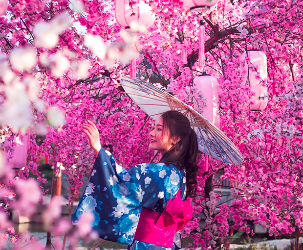 Du lịch Nhật Bản mùa Hoa Anh Đào Tokyo - Hakone - Fuji từ Sài Gòn