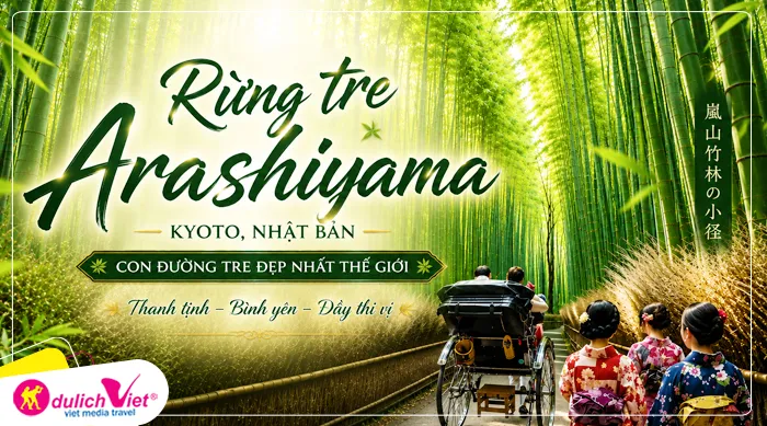 Rừng tre Arashiyama - tản bộ giữa rừng trúc xanh mướt