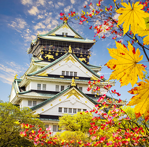 TOUR NHẬT BẢN MÙA THU 5N5Đ | OSAKA - KOBE - KYOTO - YAMANASHI BAY VIETNAM AIRLINES